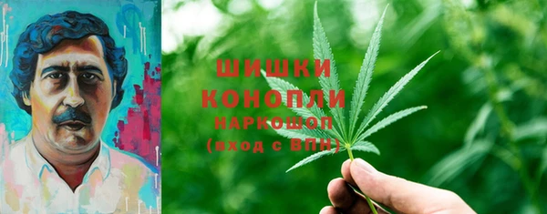 соль ск Вязьма