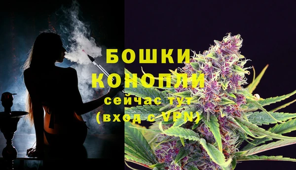 соль ск Вязьма