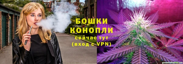 соль ск Вязьма