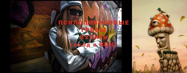 спиды Вязники